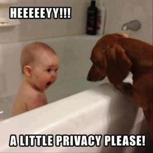 funny-privacy-pictures-8